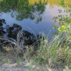 FloridaBeach 2012 047