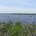 FloridaBeach 2012 050