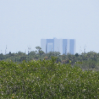 FloridaBeach 2012 052