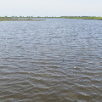 FloridaBeach 2012 053