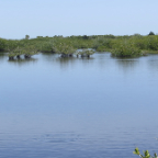 FloridaBeach 2012 056