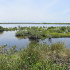 FloridaBeach 2012 058