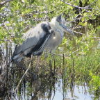FloridaBeach 2012 059