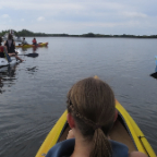 FloridaBeach 2012 069