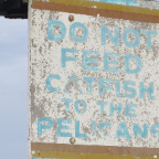 FloridaBeach 2012 079