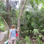 FloridaBeach 2012 085