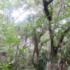 FloridaBeach 2012 087
