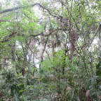 FloridaBeach 2012 088