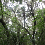 FloridaBeach 2012 089