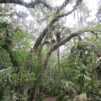 FloridaBeach 2012 091