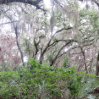 FloridaBeach 2012 092