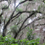 FloridaBeach 2012 093