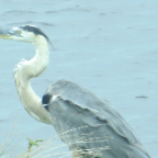 FloridaBeach 2012 103