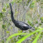 FloridaBeach 2012 107