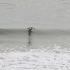 FloridaBeach 2012 127