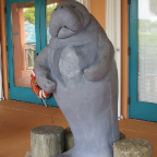 FloridaBeach 2012 131