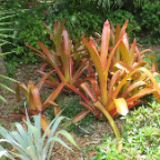 FloridaBeach 2012 135