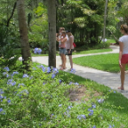 FloridaBeach 2012 142