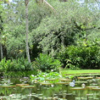 FloridaBeach 2012 144