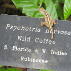 FloridaBeach 2012 155