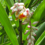 FloridaBeach 2012 156