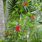 FloridaBeach 2012 158