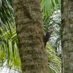 FloridaBeach 2012 175