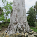 FloridaBeach 2012 181