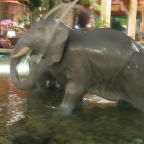 Florida 2012 004