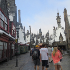 Florida 2012 010