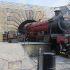 Florida 2012 035