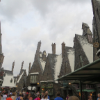 Florida 2012 063