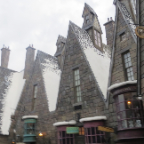 Florida 2012 064