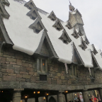Florida 2012 066