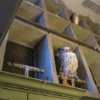 Florida 2012 067