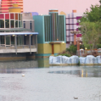 Florida 2012 077