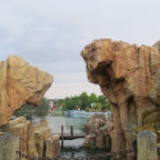Florida 2012 079