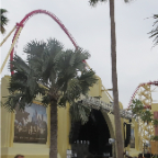 Florida 2012 087