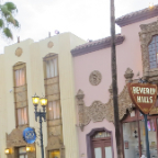 Florida 2012 112