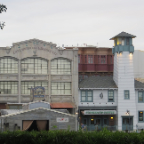 Florida 2012 113