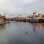 Florida 2012 127