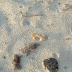 DSCF0033
