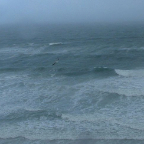 DSCF0040