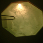 DSCF0186