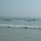 DSCF0204