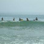DSCF0207