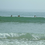 DSCF0209