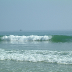 DSCF0212