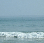 DSCF0213