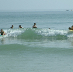 DSCF0219